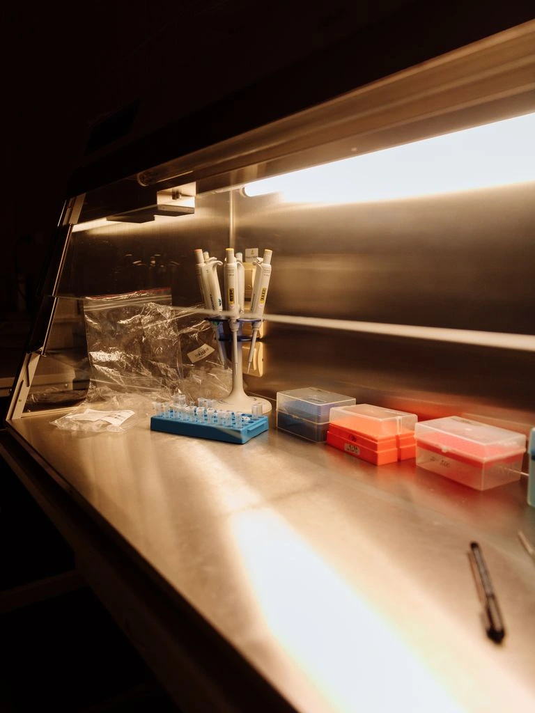 A specialist examines a fossil specimen at the in-house authentication bench.